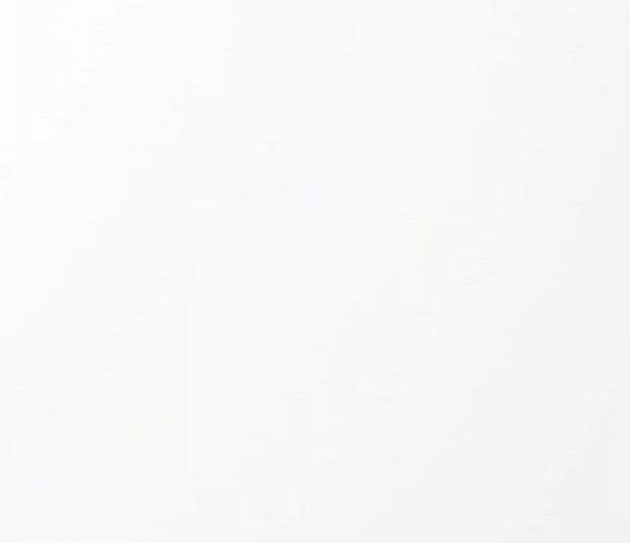  EVOGLOSS 18х1220х2800 P100 Белый (глянец) (односторонняя)  (601)