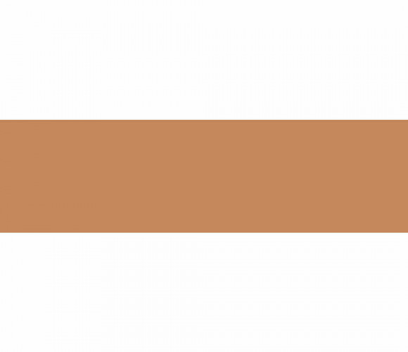 ABS Кромка-Карамель нюд 0,4х19х200 (ST9 U830) EGGER