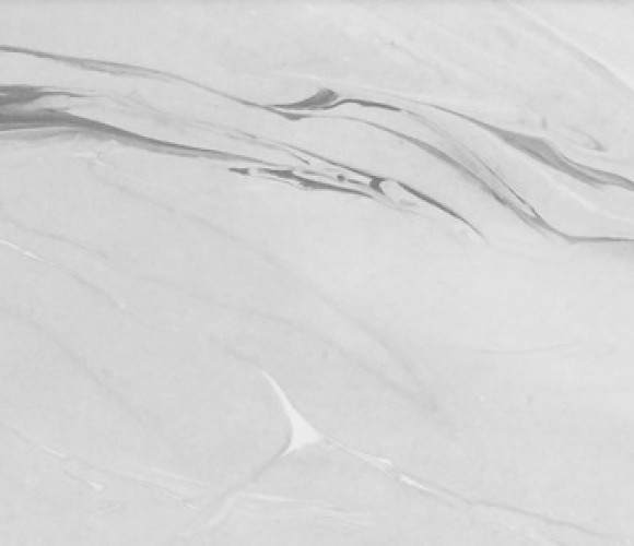 Кромка-43                 Аргус светлый  3000-32мм   Б/К