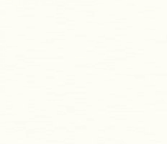 ABS Кромка-Платиновый белый Шагрень 0,8х28х75 (ST2 W980) EGGER ***