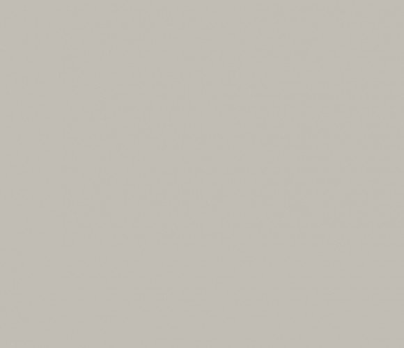  ЛДСП 2800-2070-16мм серый перламутровый U763 ST9