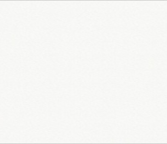 ABS Кромка-Белый премиум Шагрень 0,8х23х75 (ST9 W1000) EGGER