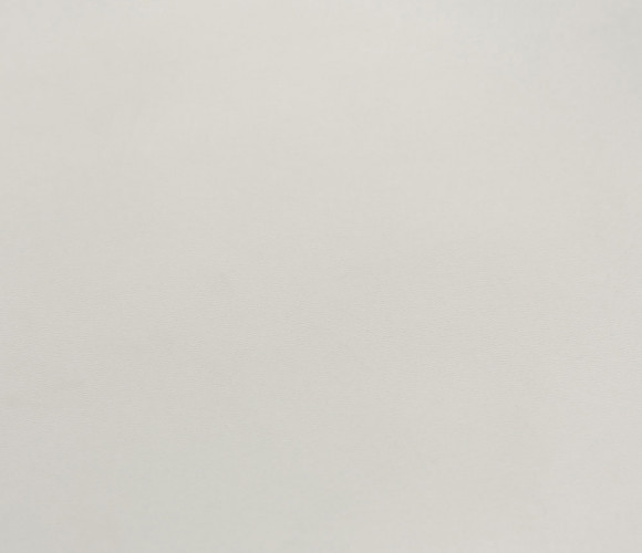  EVOGLOSS 18х1220х2800 P013 Светло-серый (односторонняя)  (матовый)