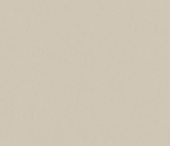  ЛДСП 2800-2070-10мм ярко-серый U750 ST9