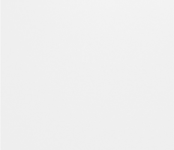  ЛДСП 2750-1830-10мм белоснежный - L  2023