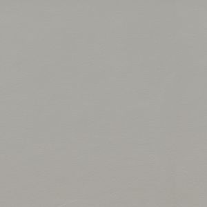  ЛДСП 2800-2070-16мм серебристый матовый F765 ST20   24+