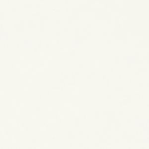  ЛДСП 2800-2070-25мм белый классический W960 ST7   24+