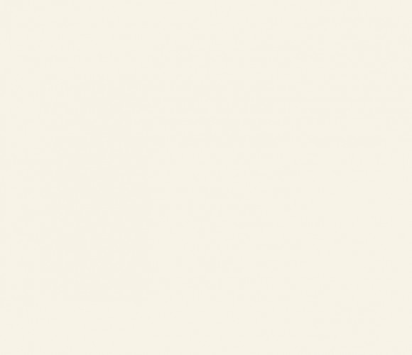  ЛДСП 2800-2070-10мм фарфор белый W1200 ST9   24+