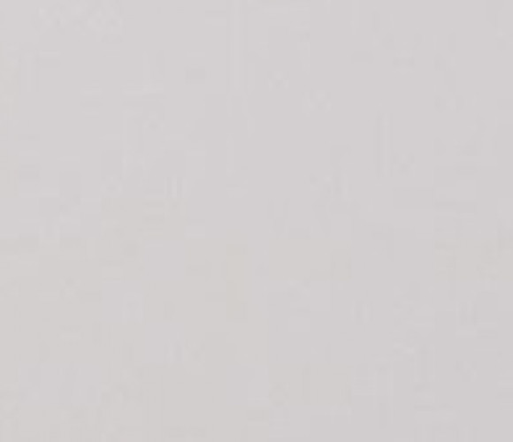 Кромка ПВХ Evogloss Новый серый 0,8*22 Р729