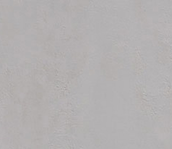 Кромка ПВХ Evogloss Оксид светло-серый 0,8*22 Р262