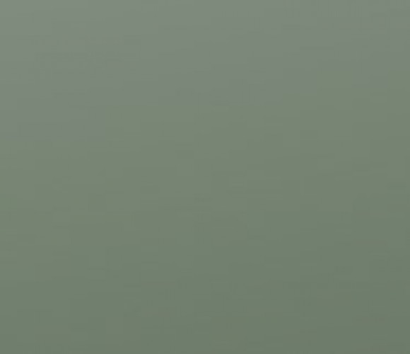 Кромка-ПВХ EVOSOFT Сумрачный нефрит EVS011   0,8х22мм   AGT3027