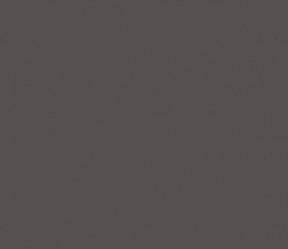 Столешница компакт-плита  АМК Троя  2754/СК Графит 1520-1320-12мм