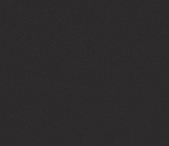  EVOSOFT 18х1220х2800 EVS014 Черная яшма  (двусторонняя)  (3010)