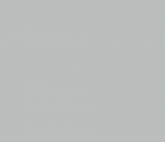 PerfectSense Smart PET МДФ 2800-1220-18мм Теплый серый R009 MS/ST7