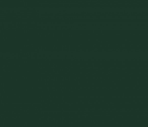 PerfectSense Top ЛМДФ 2800-1220-18,1мм зеленый еловый U699 TM/ST9