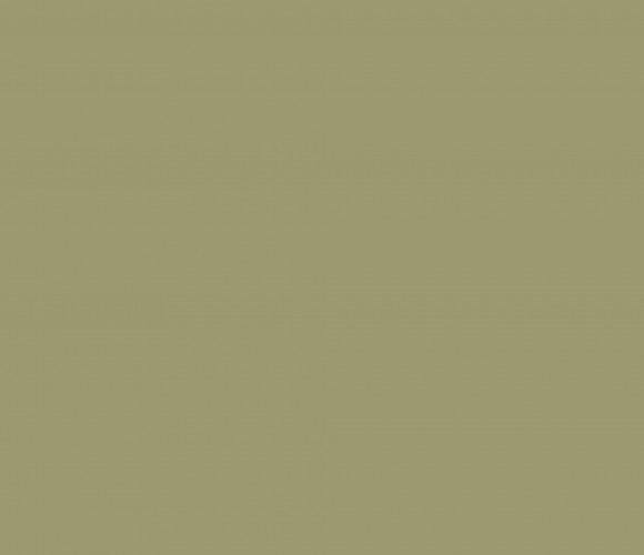 PerfectSense Top ЛМДФ 2800-1220-18,1мм зеленый оливковый U640 TM/ST9