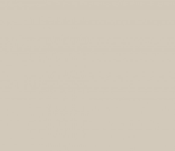 PerfectSense Top ЛМДФ 2800-1220-18,1мм ярко-серый U750 TM/ST9