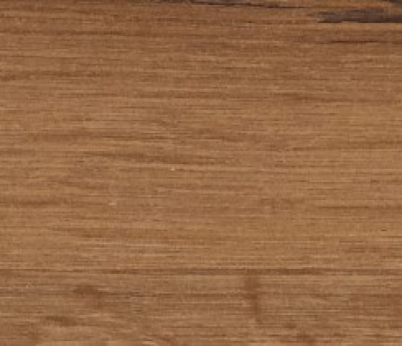 ABS Кромка-Дуб Баксан светлый 1,5х43х25 (R6 R1501) EGGER